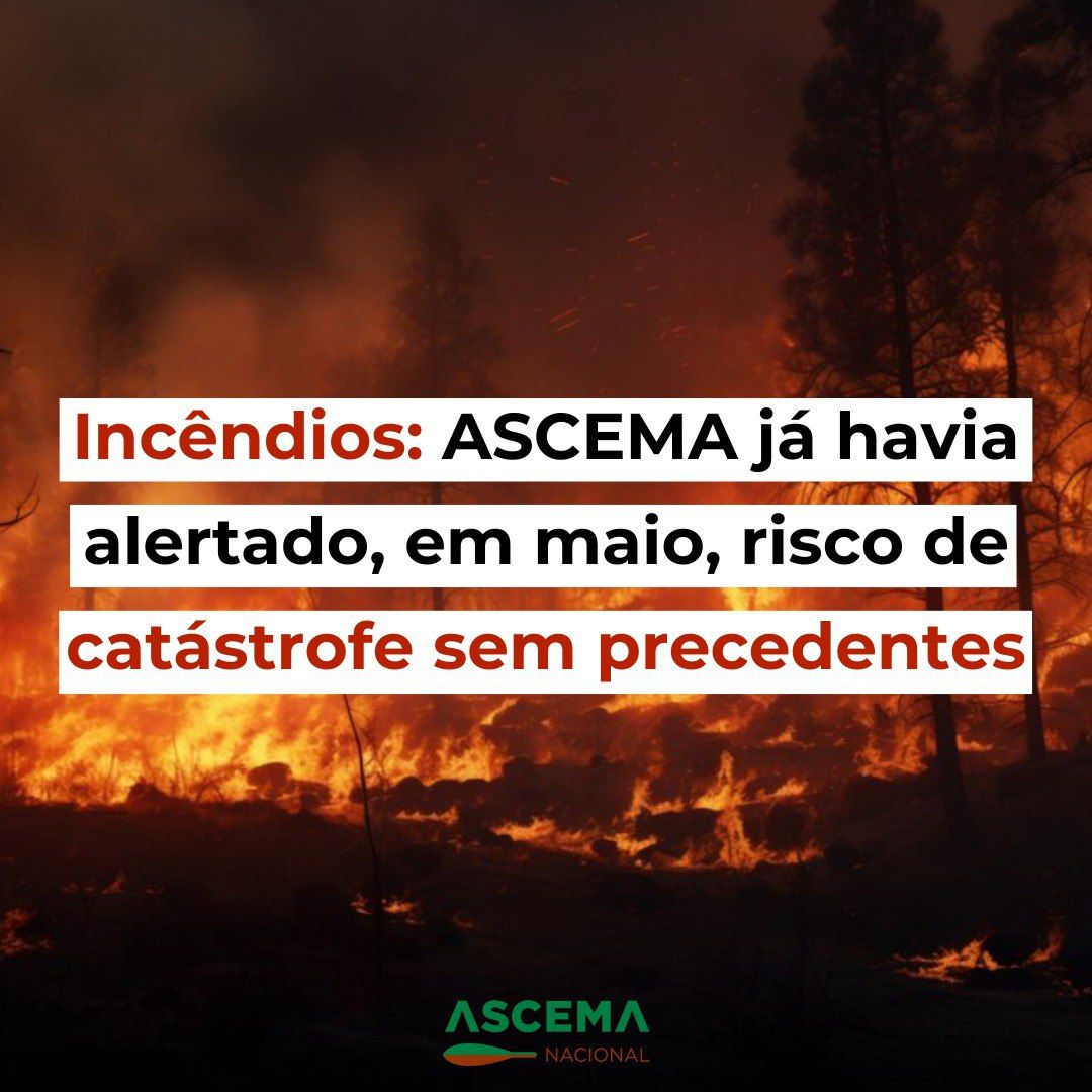 Incêndios: ASCEMA já havia alertado, em maio, risco de catástrofe sem precedentes