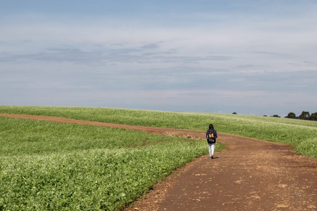 Os filhos doentes da agricultura brasileira