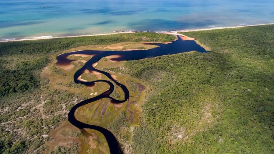 Não à privatização dos parques estaduais!