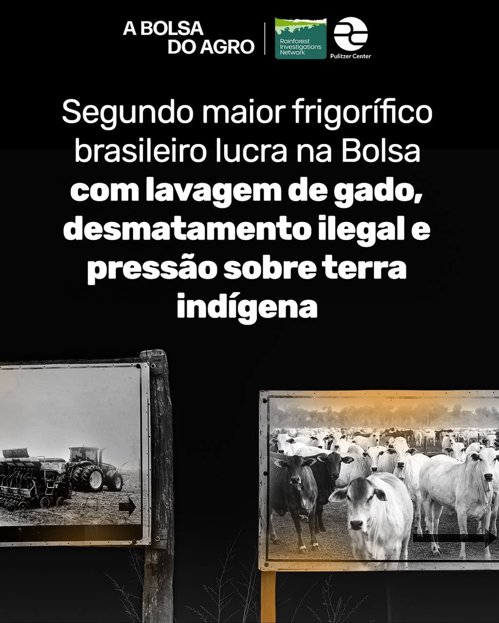 Segundo maior frigorífico brasileiro na Bolsa com lavagem de gado, desmatamento ilegal e pressão sobre terra indígena