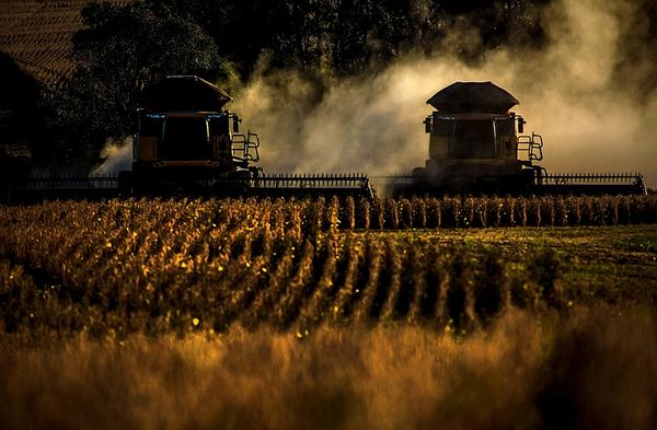 Lavouras de soja tomam conta do Brasil e ameaçam produção de arroz, feijão e mandioca