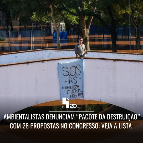 Ambientalistas denunciam "pacote da destruição" com 28 propostas no congresso