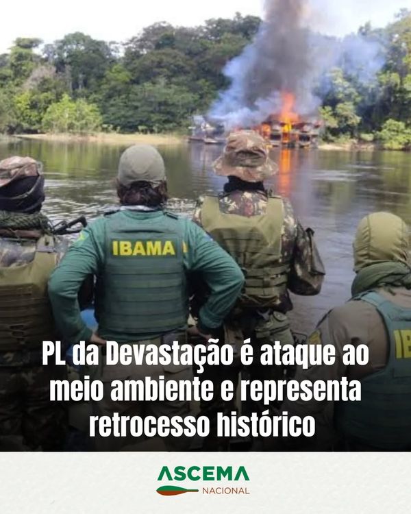 PL da devastação é ataque ao meio ambiente e representa retrocesso histórico