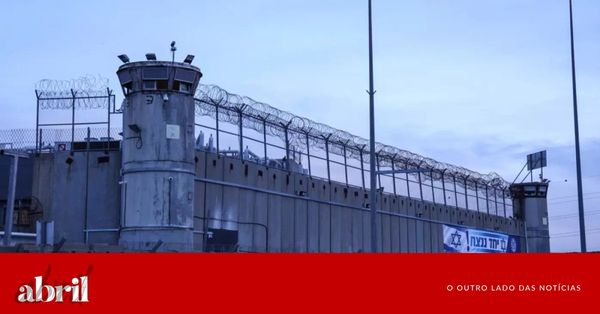 O genocídio só terminará quando os líderes políticos palestinos forem libertados